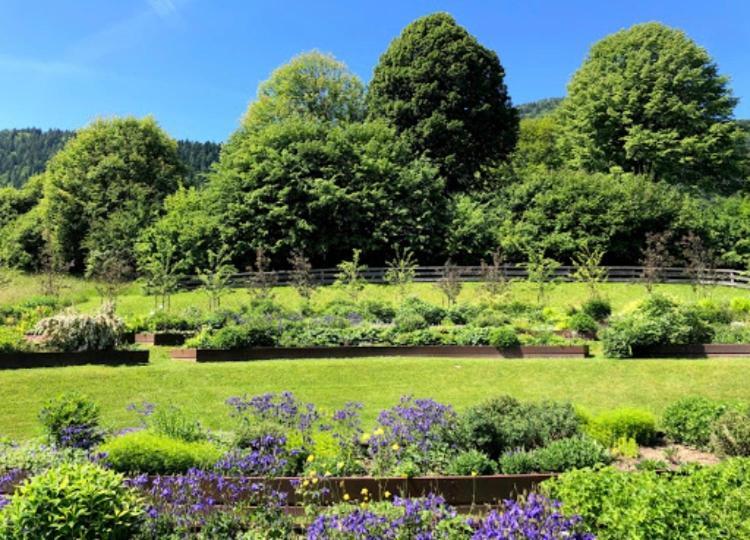 Appartamento Casa Maria Pieve Tesino Esterno foto